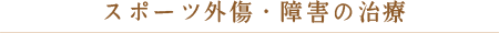 スポーツ外傷・障害の治療